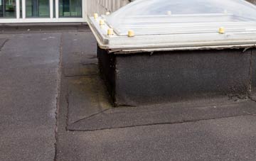 disadvantages of Denaby Main flat roofs