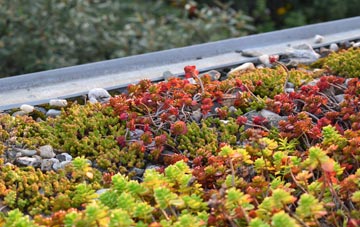 the cost of Denaby Main green roof installation