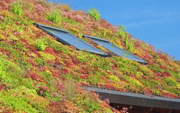 Denaby Main living roof systems