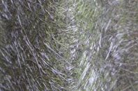 Denaby Main fibreglass roof work