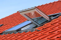 Denaby Main roof window