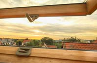 rated Denaby Main roof window companies